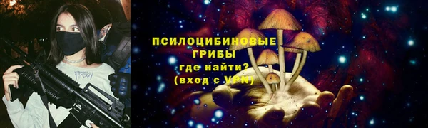 кокс Богородицк