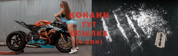 сатива Богданович