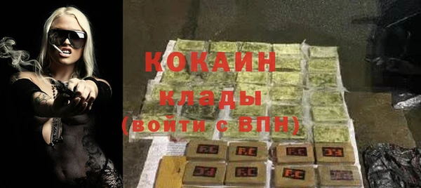 сатива Богданович