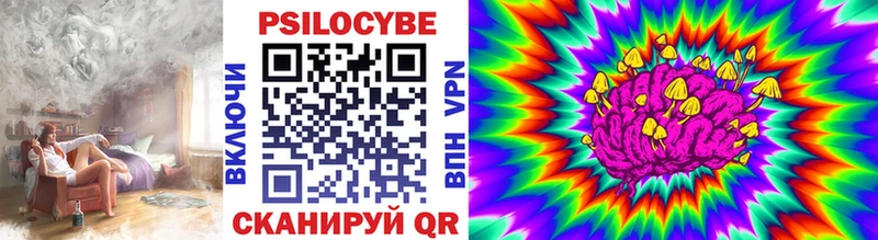 Псилоцибиновые грибы Psilocybe  хочу наркоту  Сертолово 